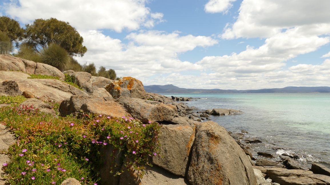 - Singapur & Tasmania 2019 -