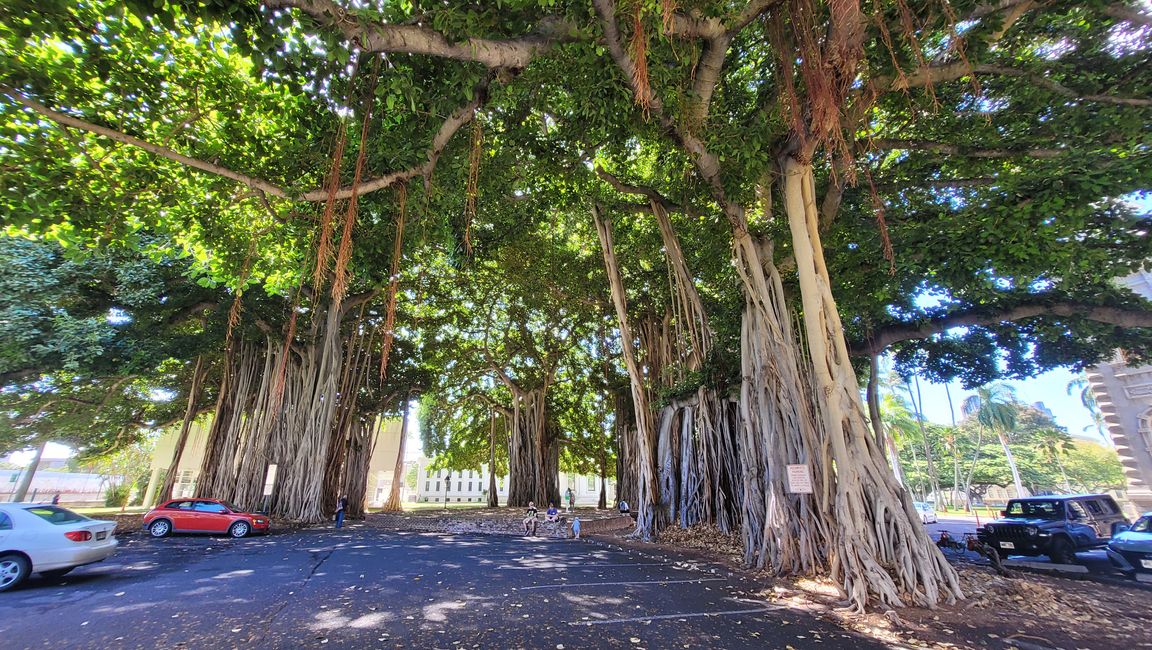 Downtown Honolulu – Fun at Waikiki Beach