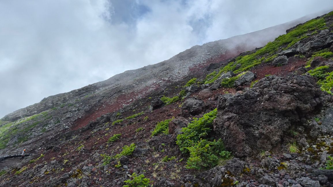 Cima del Fuji