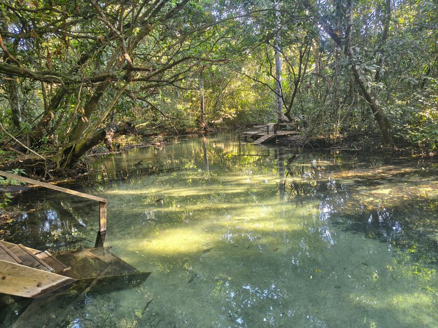 Rio Salobra