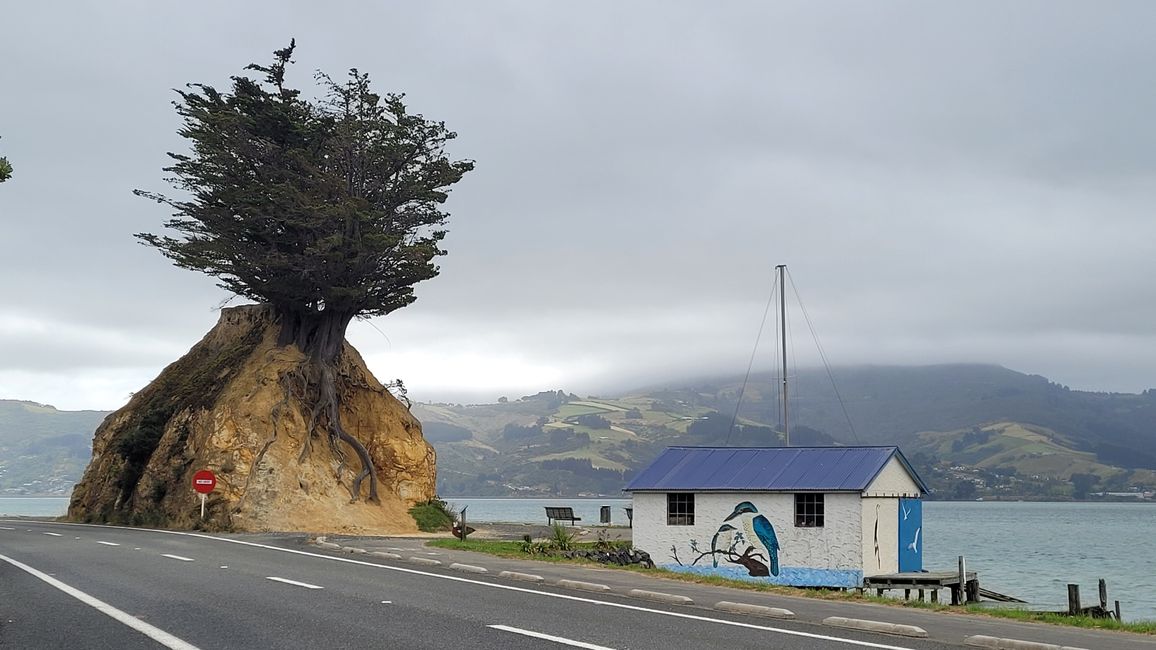 29.Januar -27.Februar 2025 Neuseeland
7.Februar