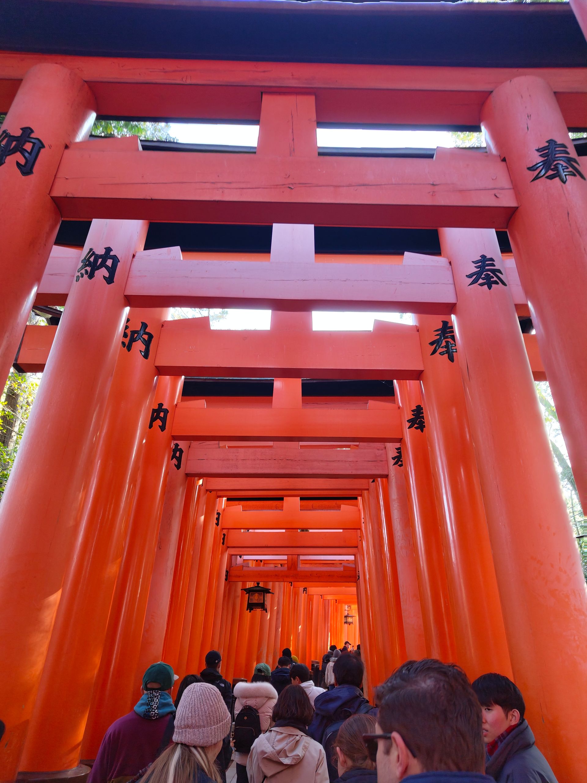 And we directly start with the first Torii gates