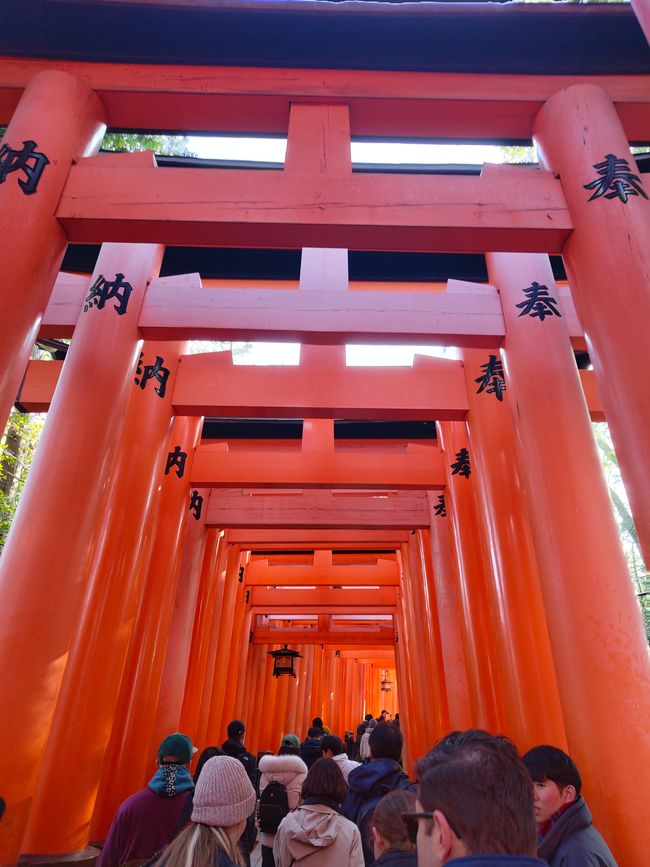 And we directly start with the first Torii gates