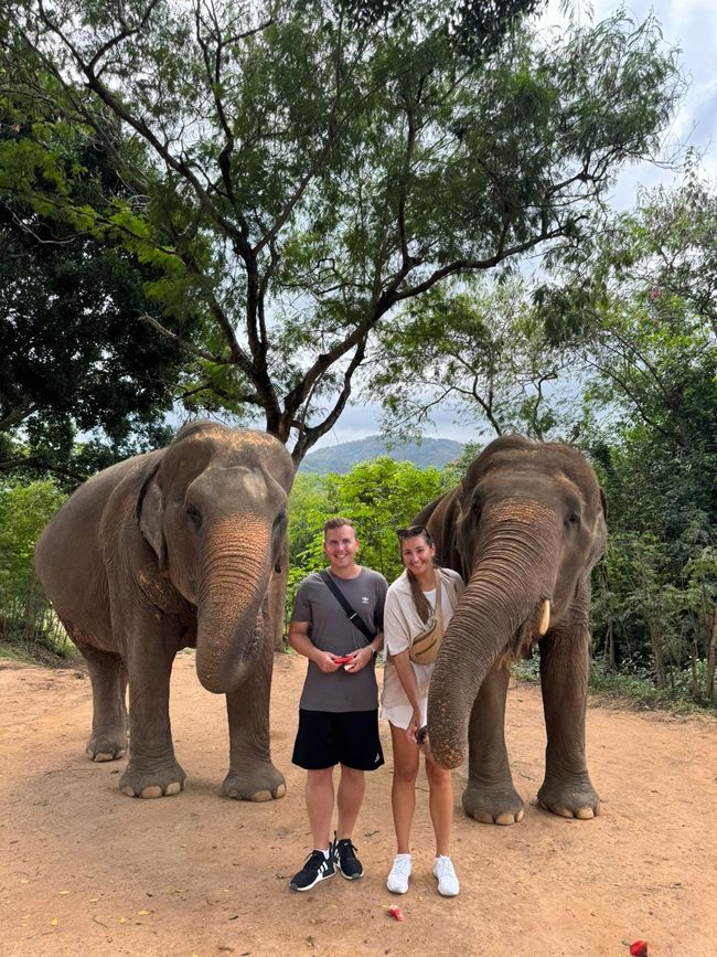Samui Elephant Sanctuary - Nico & Franci