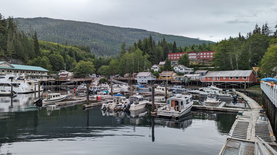 Day 11: Strathcona PP - Telegraph Cove - Alder Bay