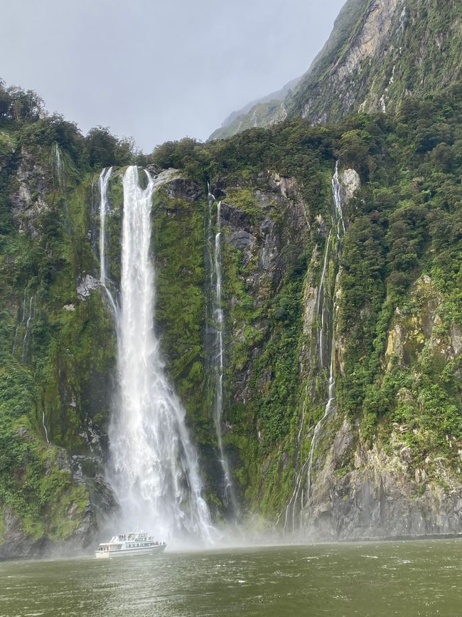 Road trip to Milford Sound