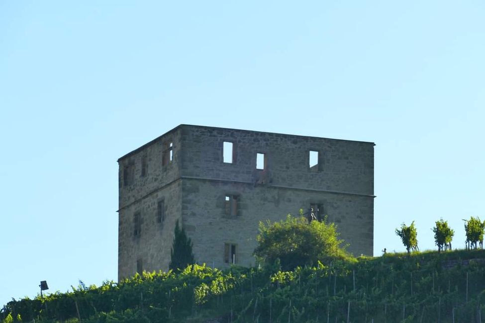 Zwischen Weinreben und Geschichte: Die Yburg im Fokus 📸