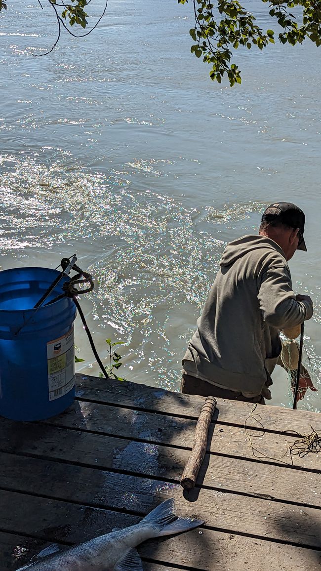 Angler beim Lachsfang