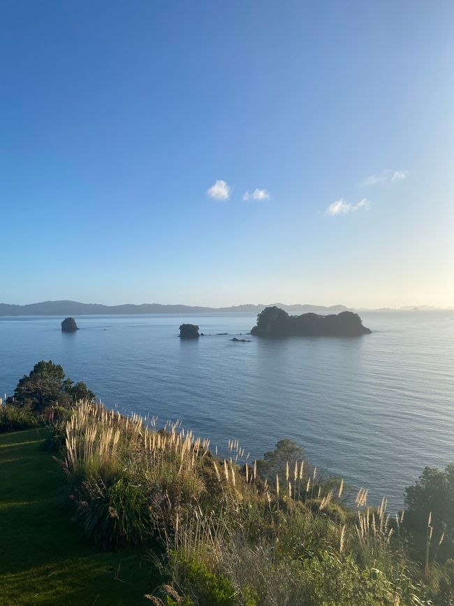 Coromandel loop