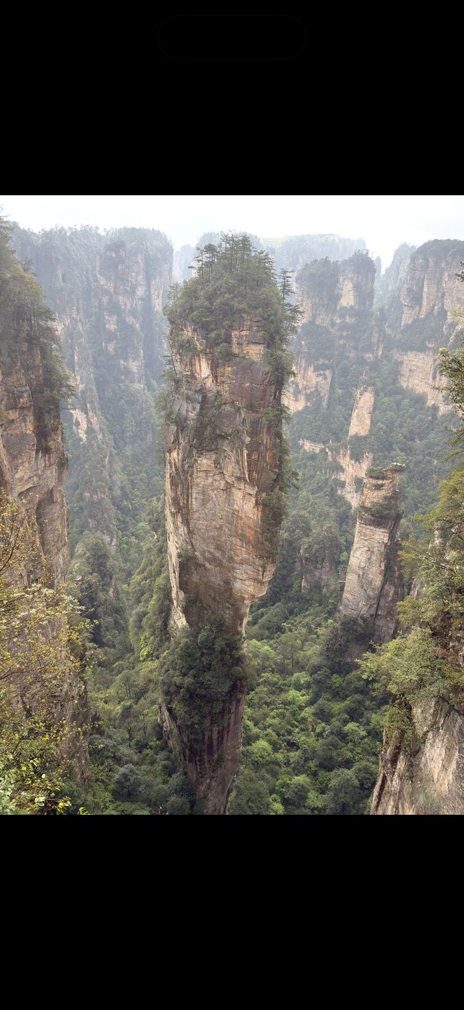 Grotte du dragon jaune