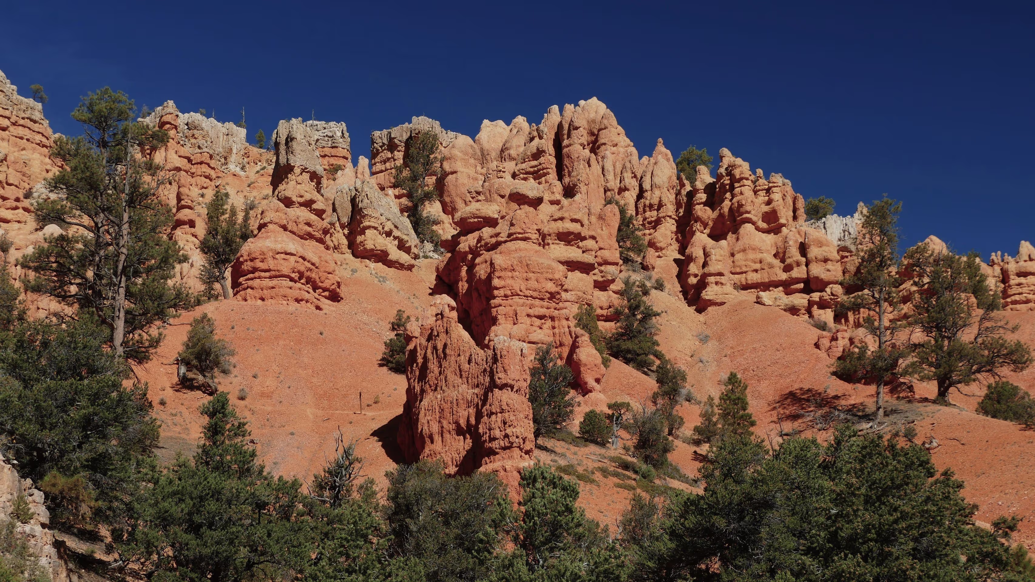 red rocks