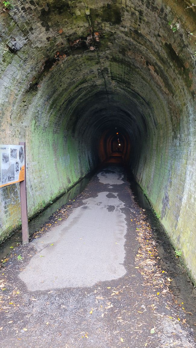 On the Trail of the Gold and Ore Mine in the Karangahake Gorge