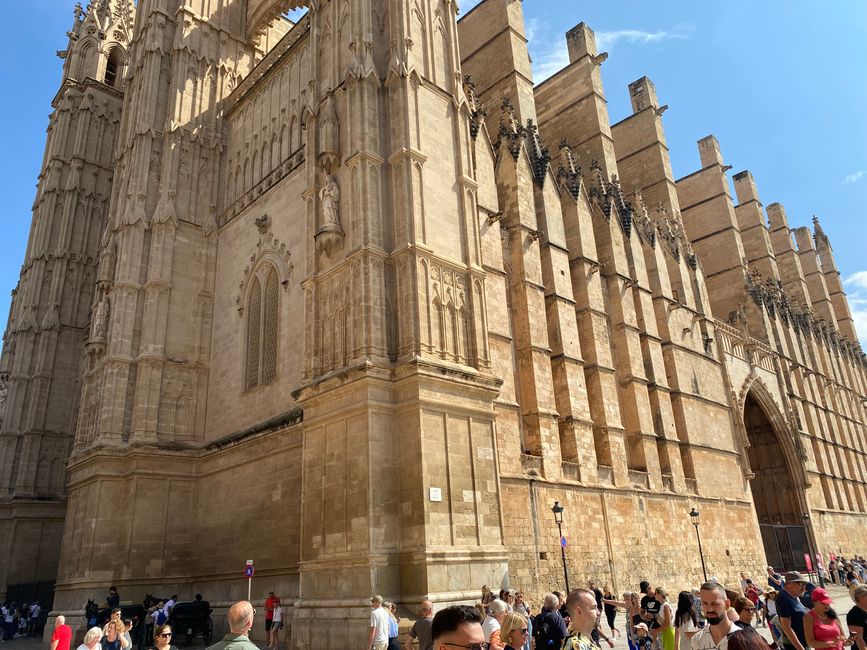 Day 5 Palma/ Dolphin Tour