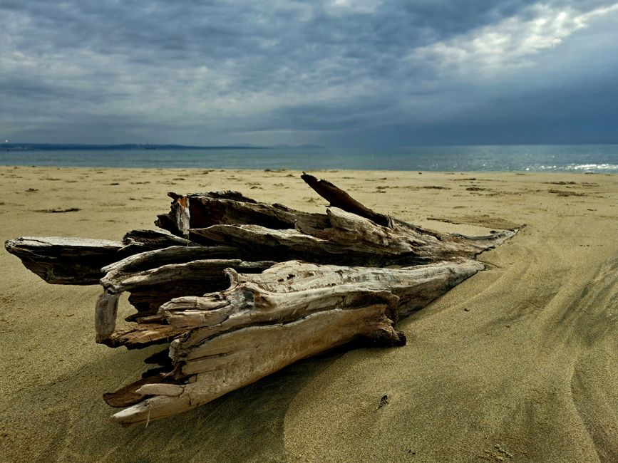 Objetos de playa