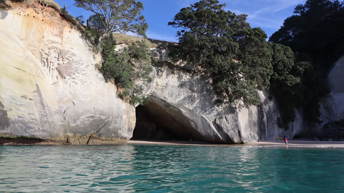 Bootstour entlang der Küste von Whitianga bis zur Cathedral Cove