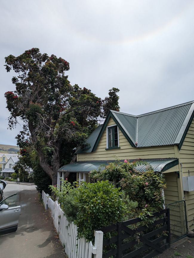 Haus in Akaroa 