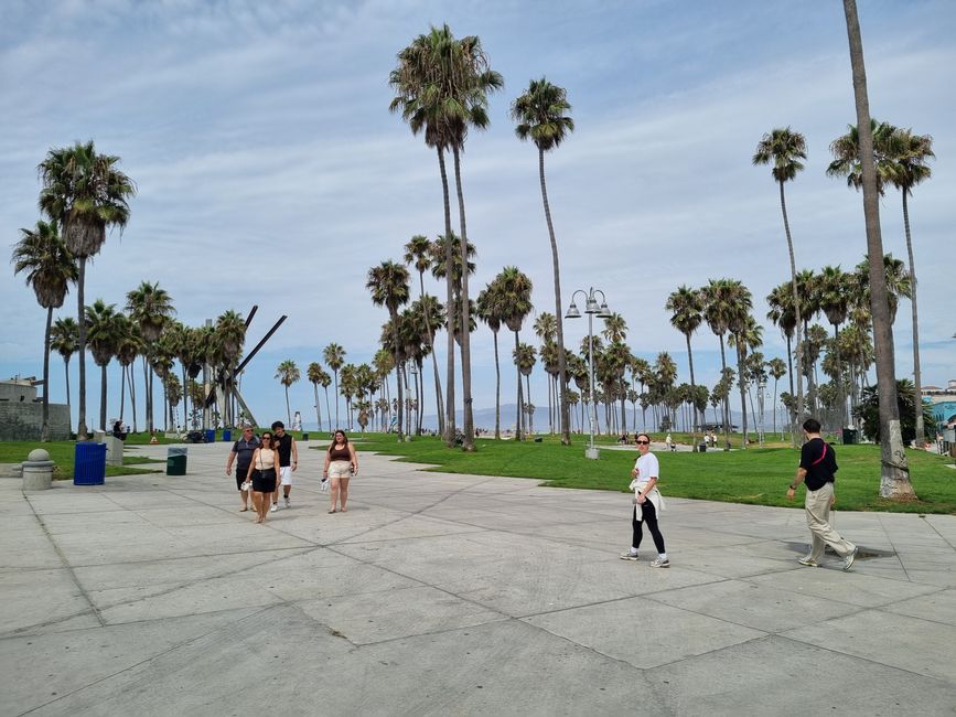 Kalifornien 2025, Tag 16+17, Venice Beach und Rückflug