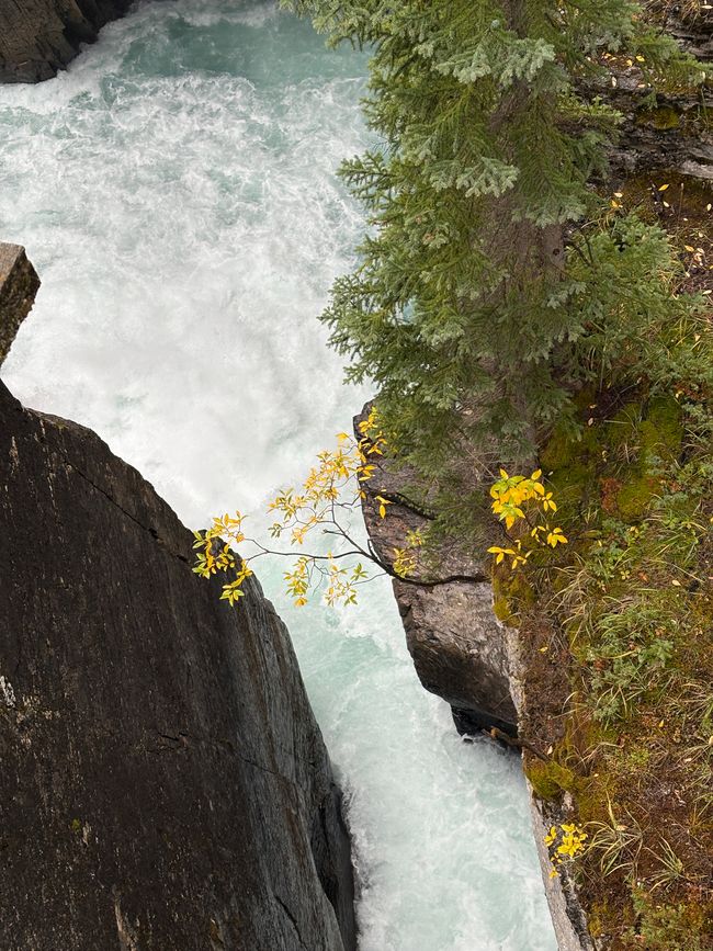 Tag 12 - 🏔️ Wasserfälle, Wetterkapriolen & Wellness – ein (fast) perfekter Tag in Jasper