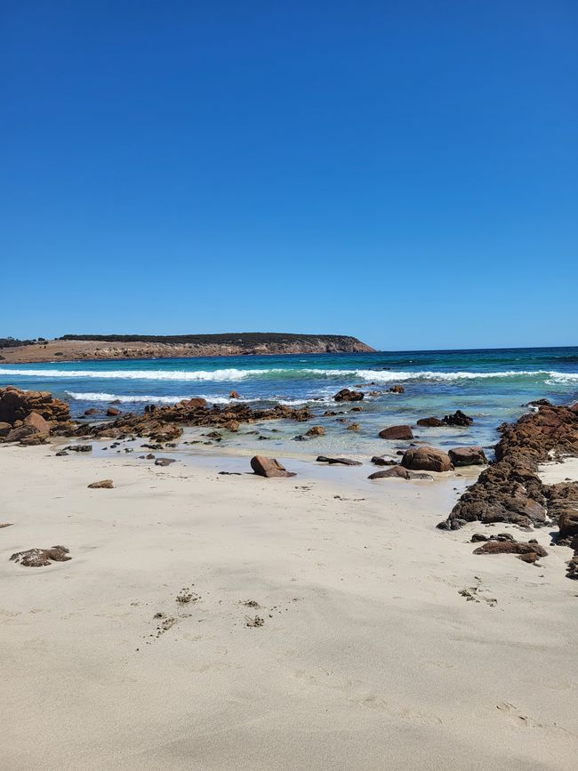 Kangaroo Island with Baby M.
