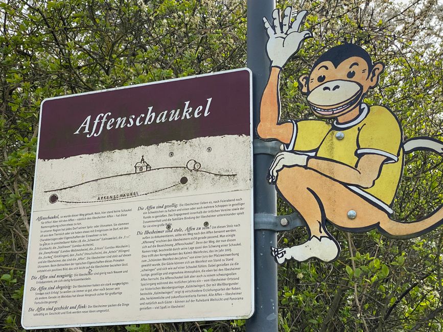 Hinweis auf die Affenschaukel