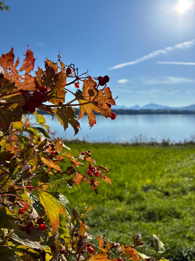 Ein Tag am See