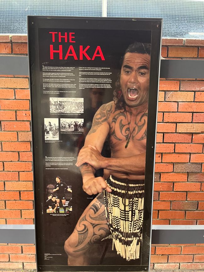 Geschichte Neuseeland 🇳🇿