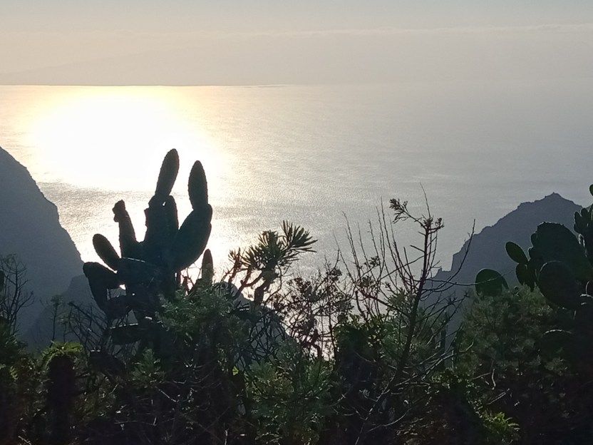 Abendlicher Blick von der "Dachterasse"