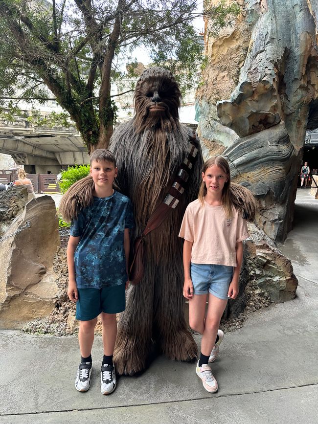 Disneyworld Hollywood Studios
