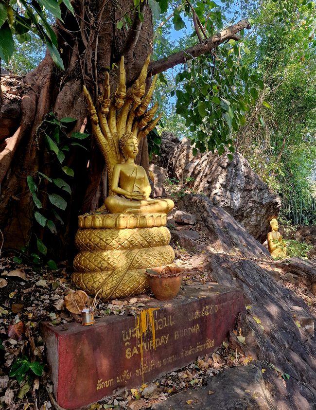 Samstagsbuddha :-). Es gab noch den Montag und den Mittwoch :-)