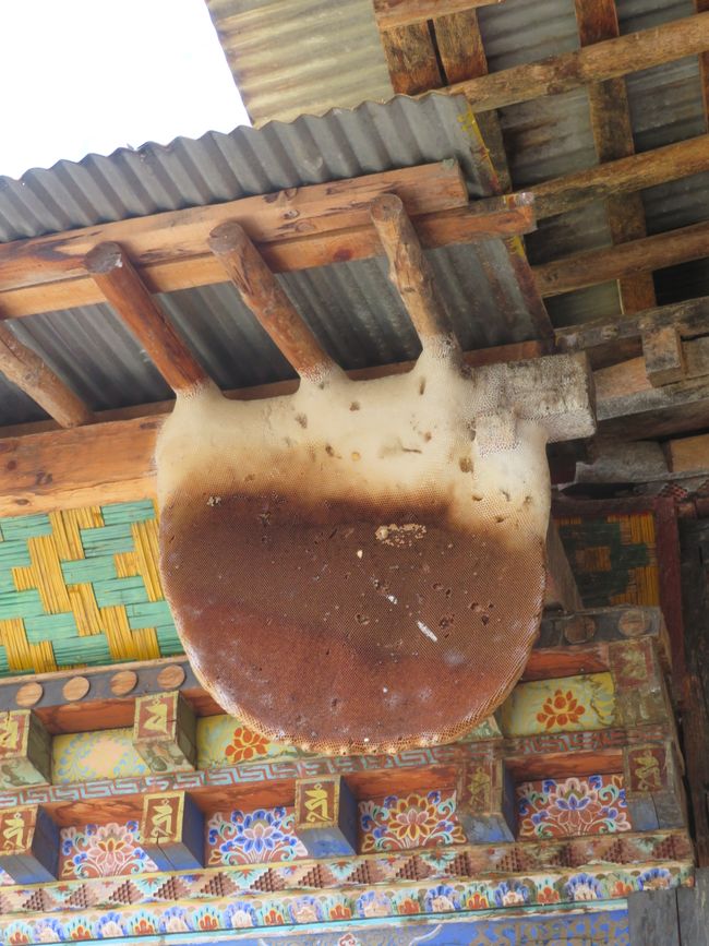 Wldbienen im Tempel