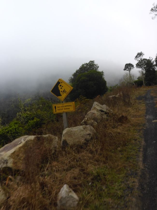 2025-03-29 Tongariro, Timber Trail und ...