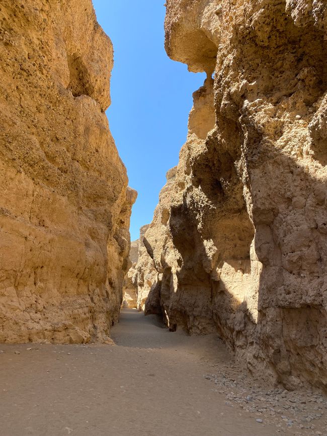 Desierto de Namibia 🏜️