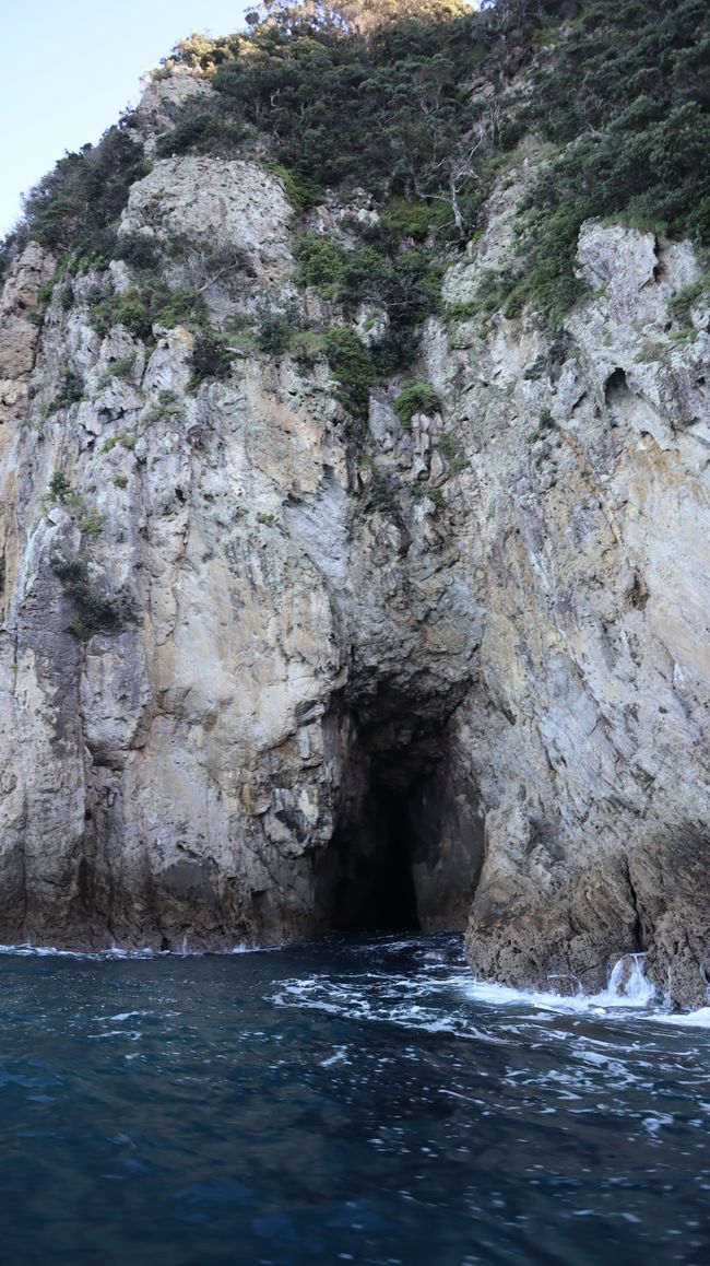 Bootstour entlang der Küste von Whitianga bis zur Cathedral Cove