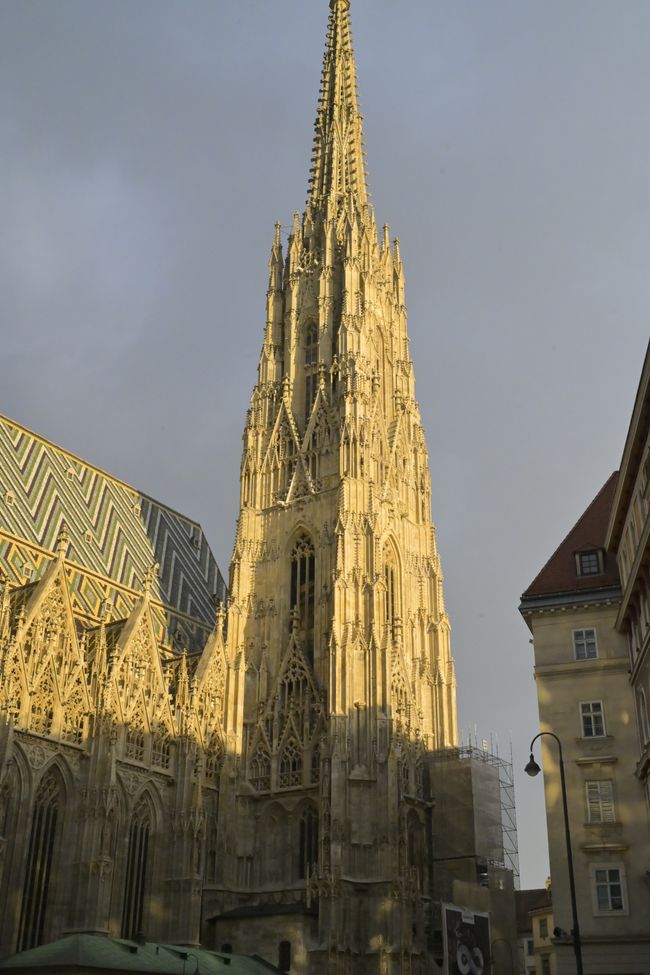 Stephansdom