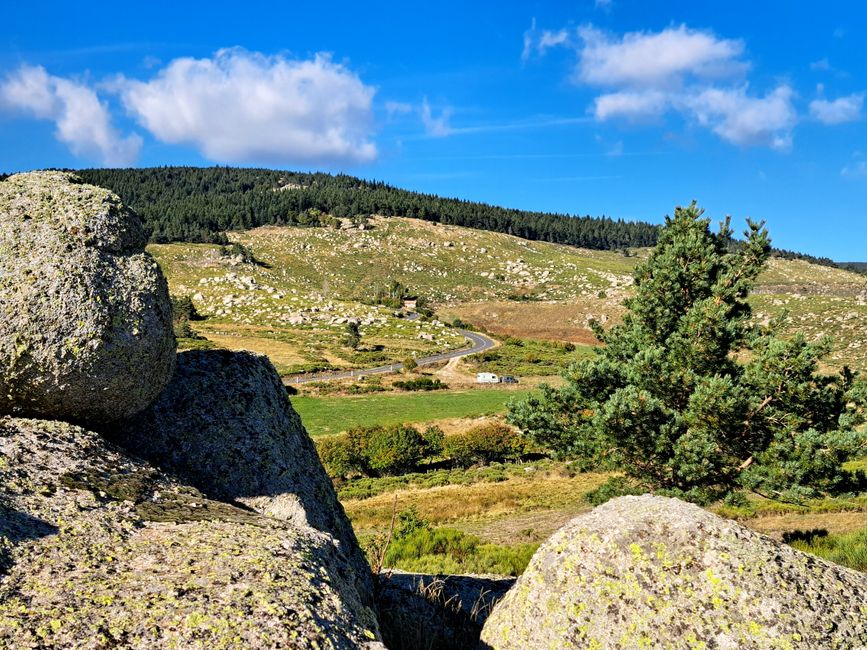 Suchbild: Wer findet den Mistral?