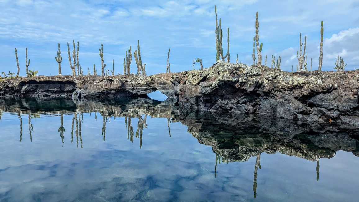 Galapagos Islands