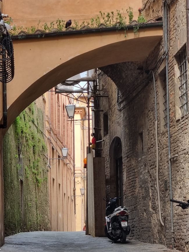 Siena