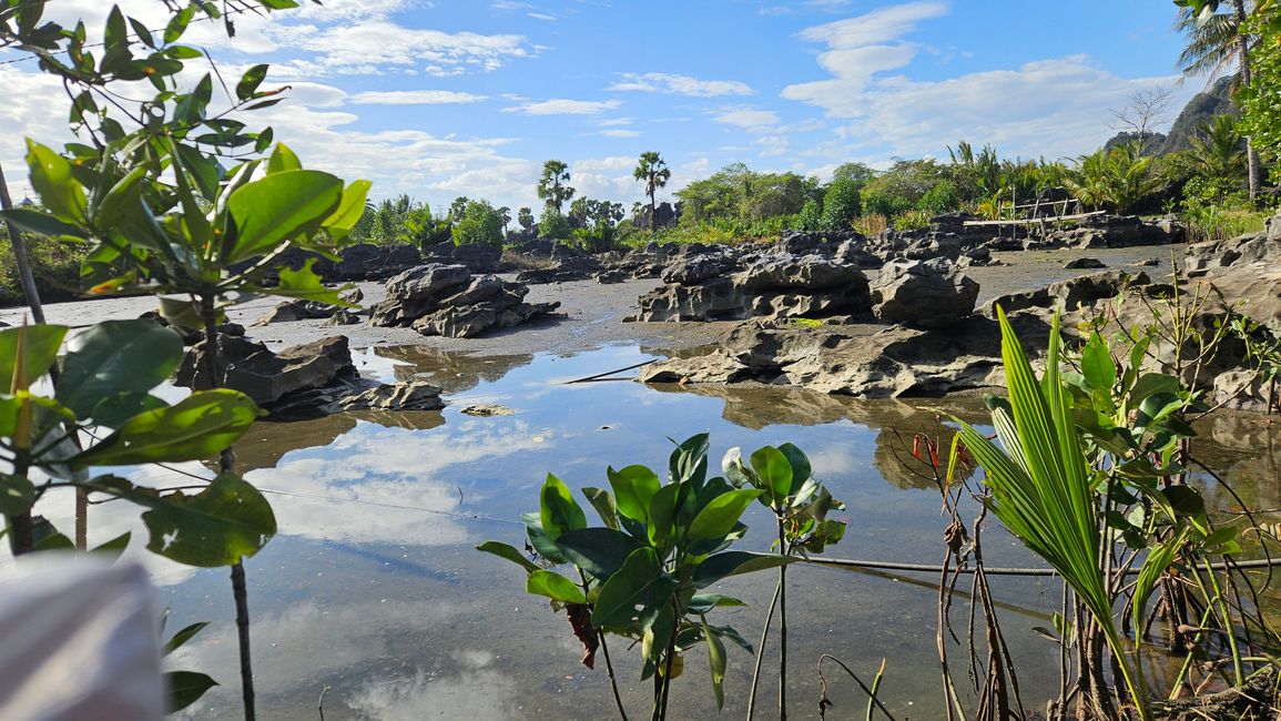 Rammang Rammang