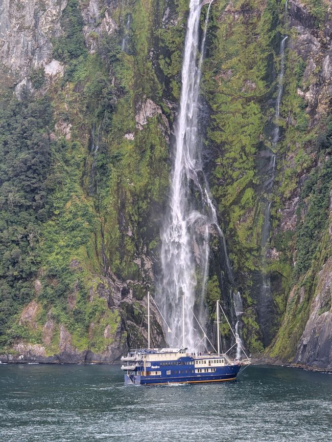 65.Tag 10.3.25 Milford Sound (Südinsel Neuseelands Westseite)