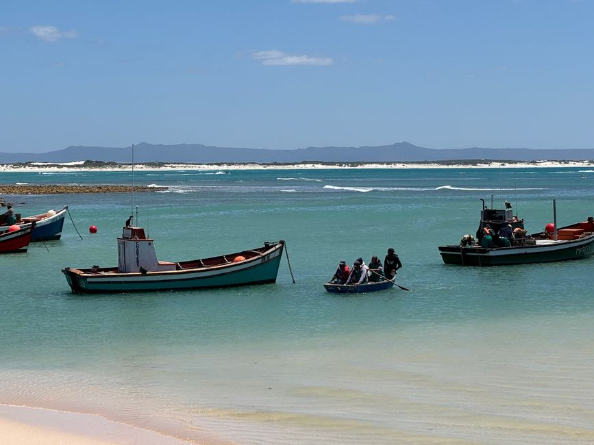 Kap Agulhas/Struisbaai