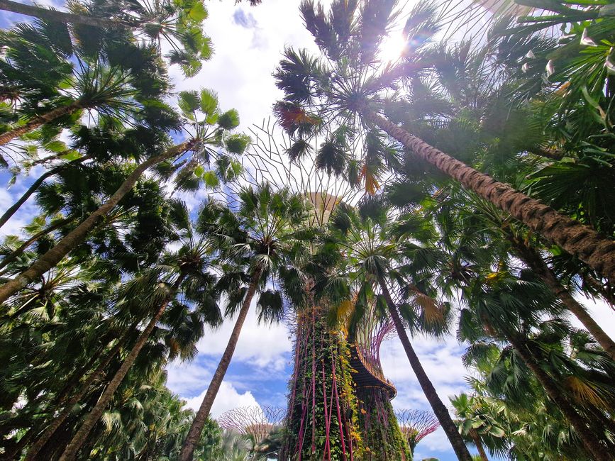 Gardens by the bay
