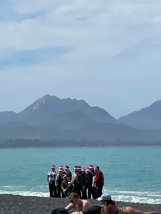 Week 10 - Lake Tekapo, Kaikoura + Christchurch