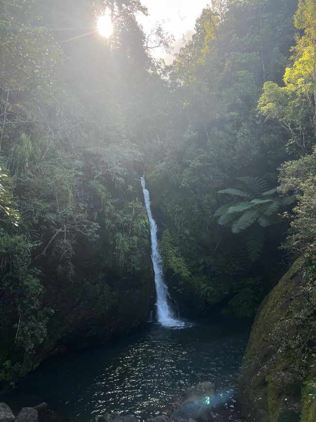 Paihia -> Rotorua