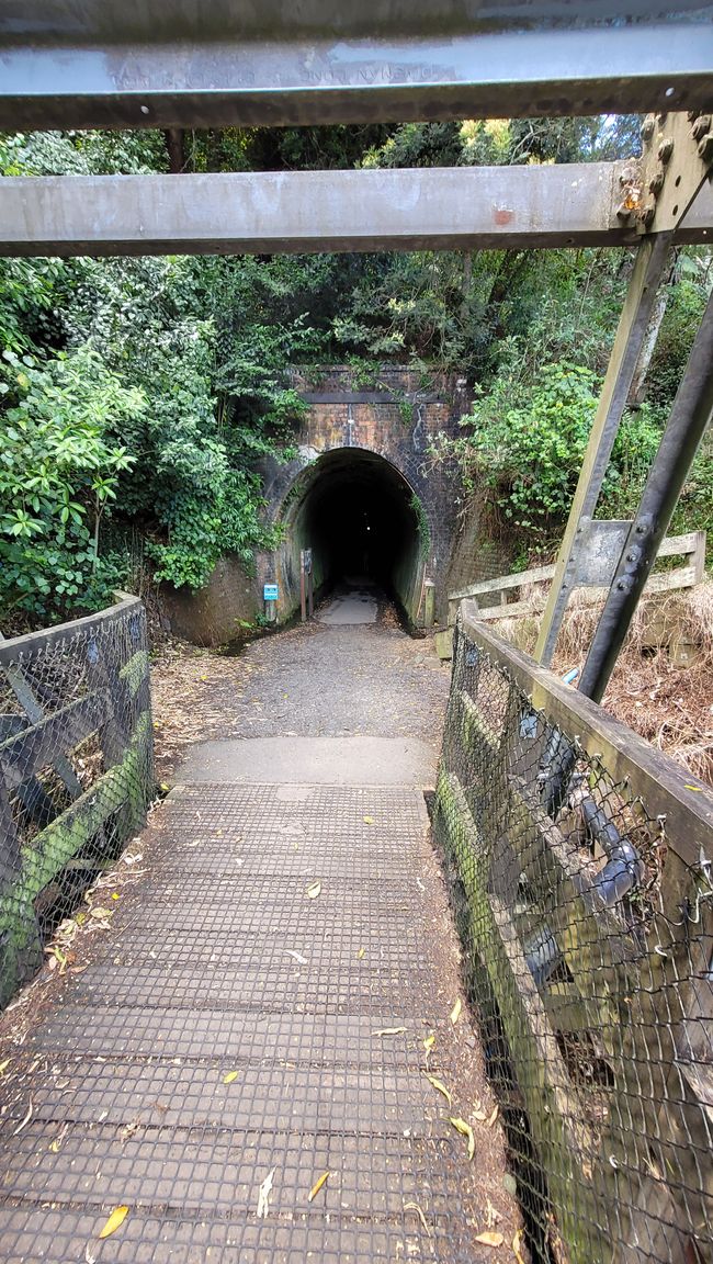 On the Trail of the Gold and Ore Mine in the Karangahake Gorge