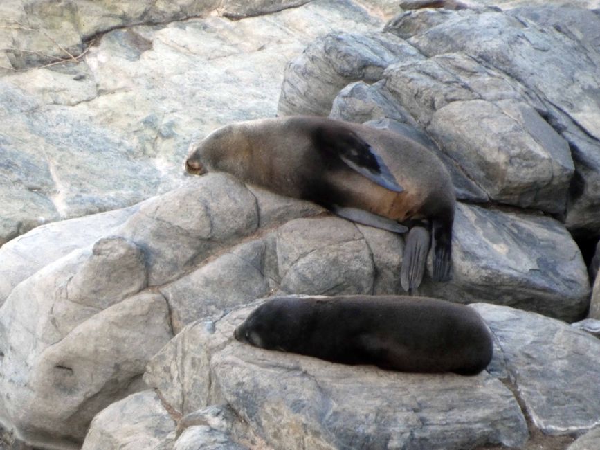 Kangaroo Island