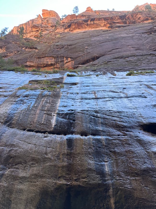 Tierra de Cañones: Zion y el Cañón de Bryce❤️