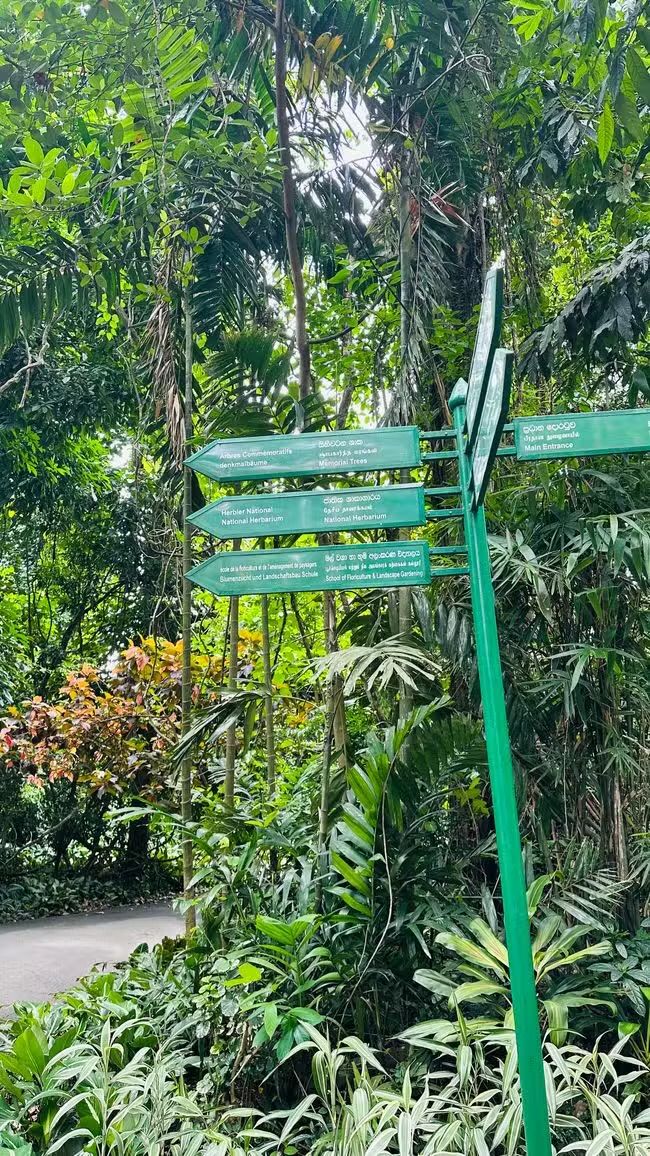 Giardini botanici reali di Peradeniya