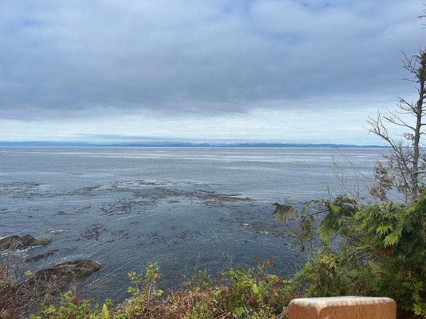 Finalmente, en la costa oeste... Pero muy, muy al norte