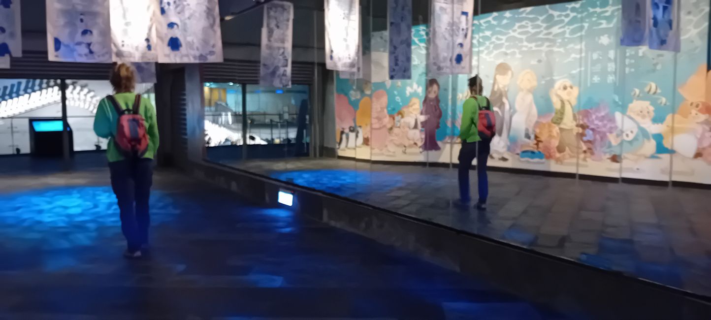 Checheng / Museo Nazionale di Biologia Marina & Museo