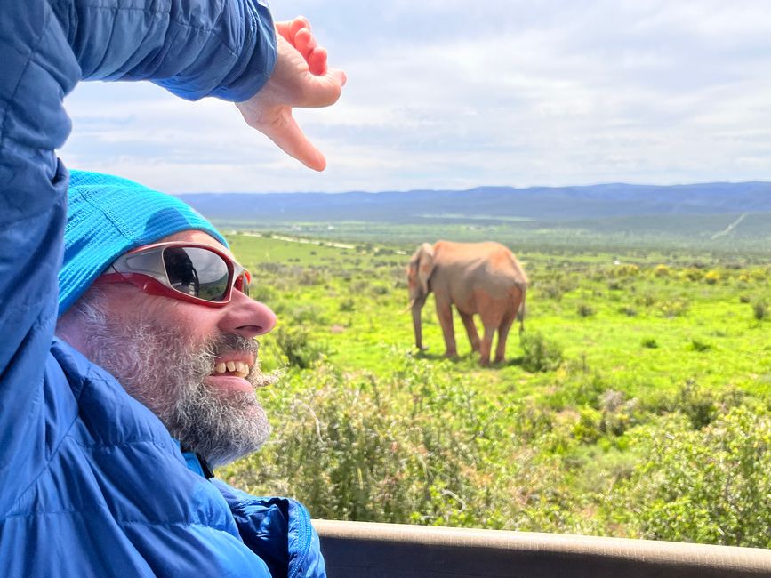 Addo Elephant Park